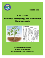 BSCBO-202.pdf